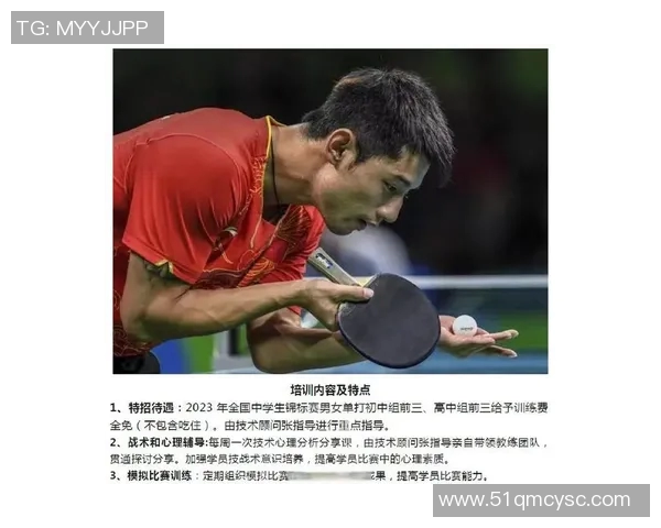 南京乒乓球队在城市联赛中的战术分析与表现评估