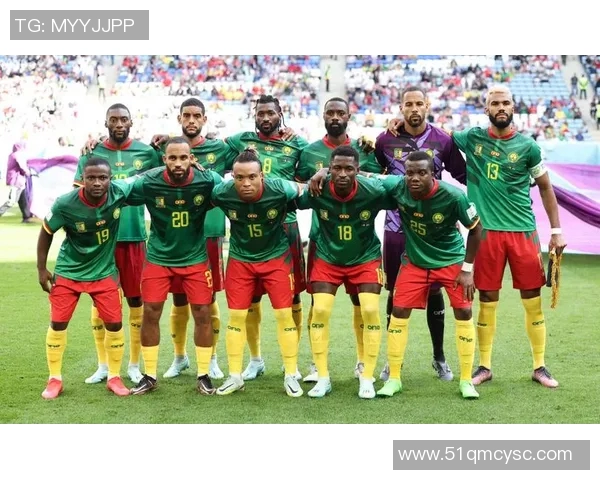 喀麦隆足球明星排行榜揭晓谁是最闪耀的绿茵传奇